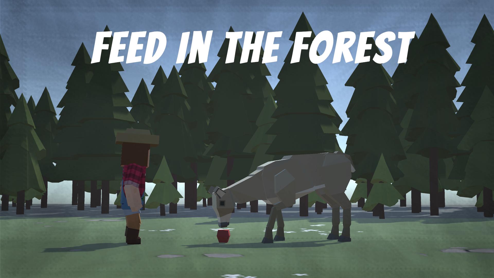 Feed in the Forest