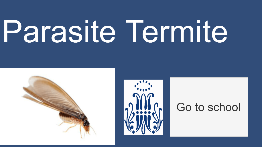 Parasite Termite