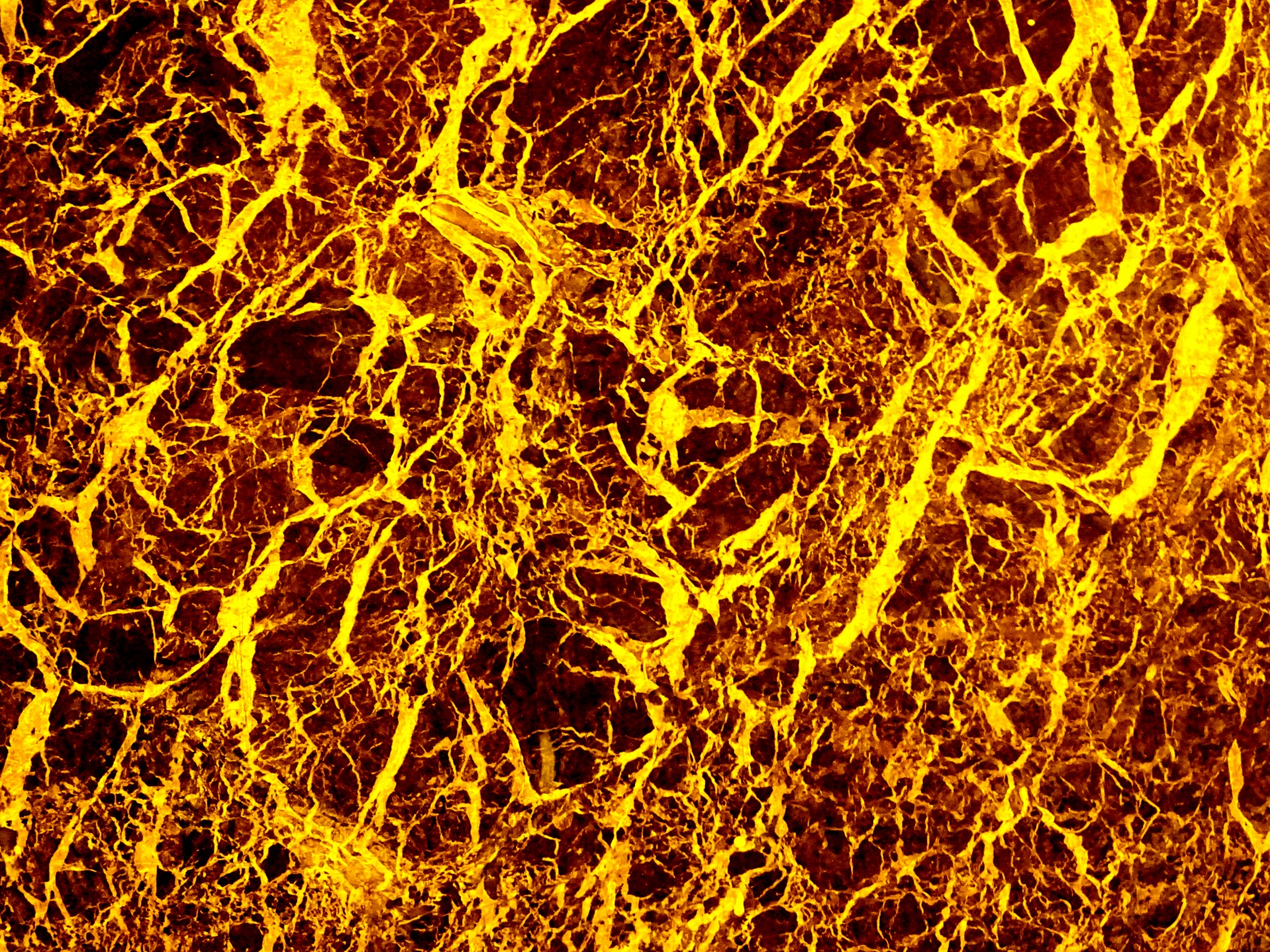 мрамор black marquina. адский мрамор. нумидийский мрамор. адский мрамор. красный мрамор текстура.