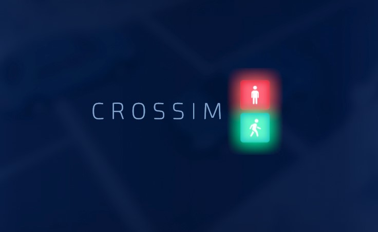 Crossing Simulator v4