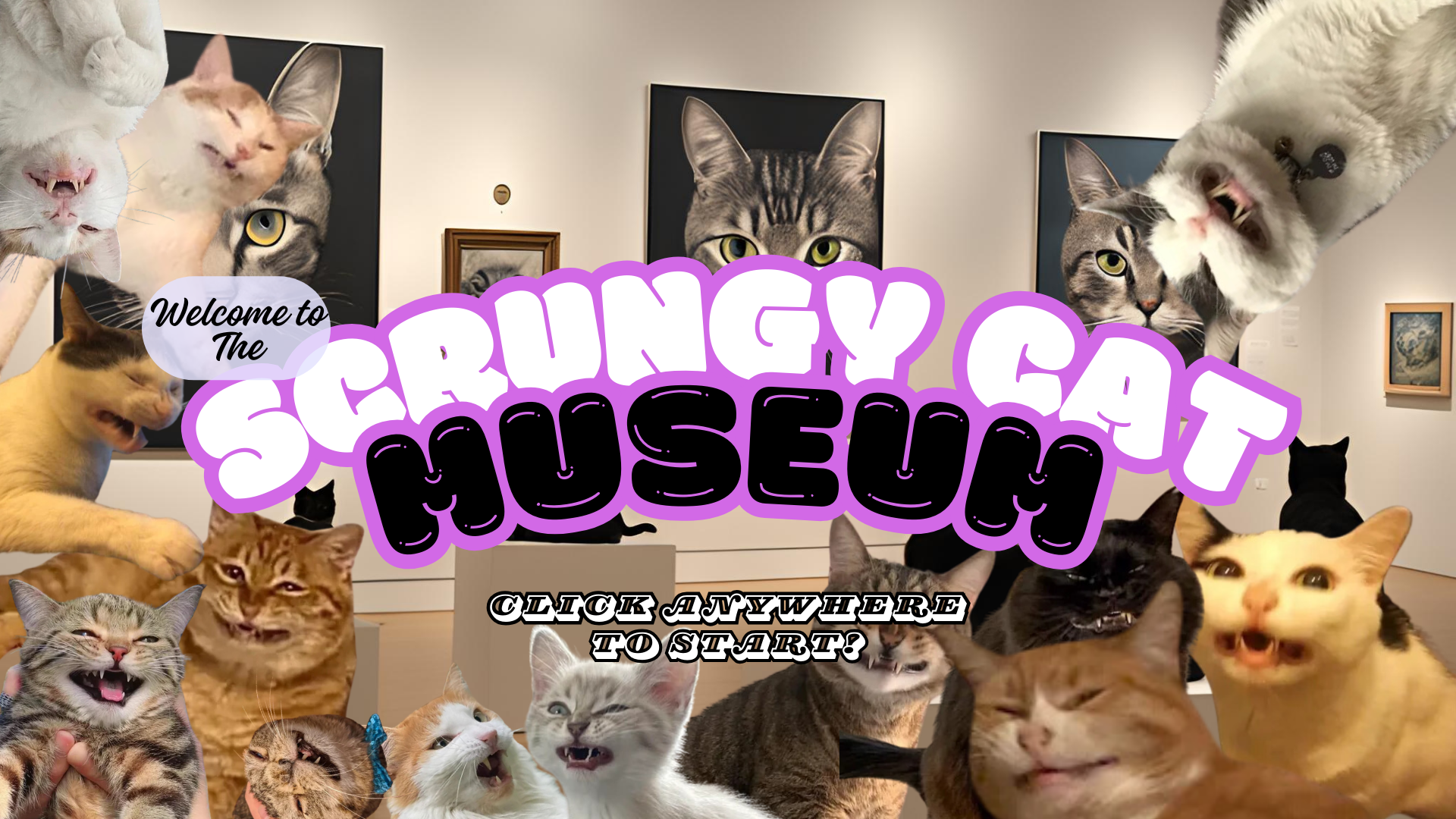 Scrungy Cat Museum v4